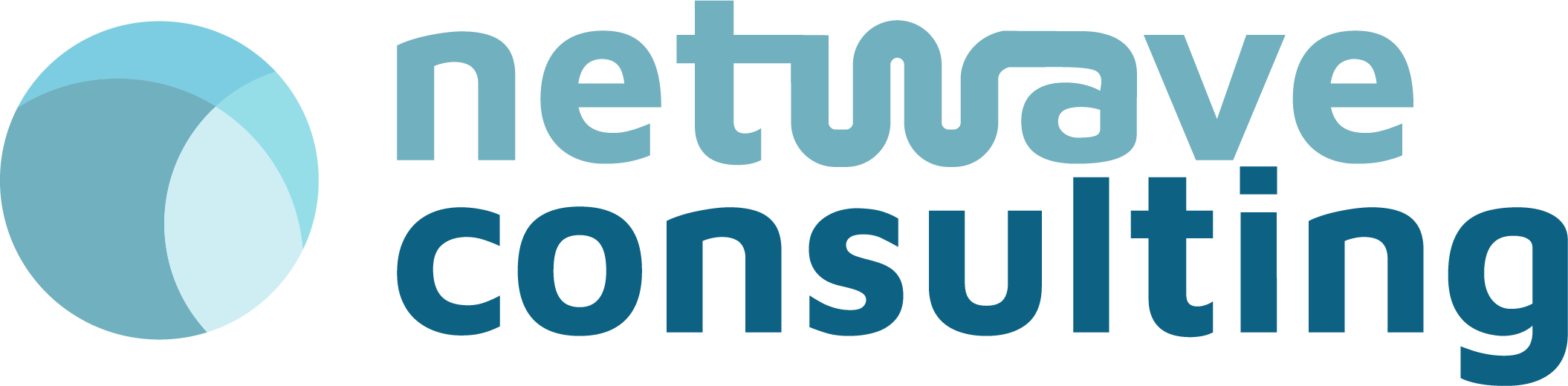 Netwave Consulting Logo